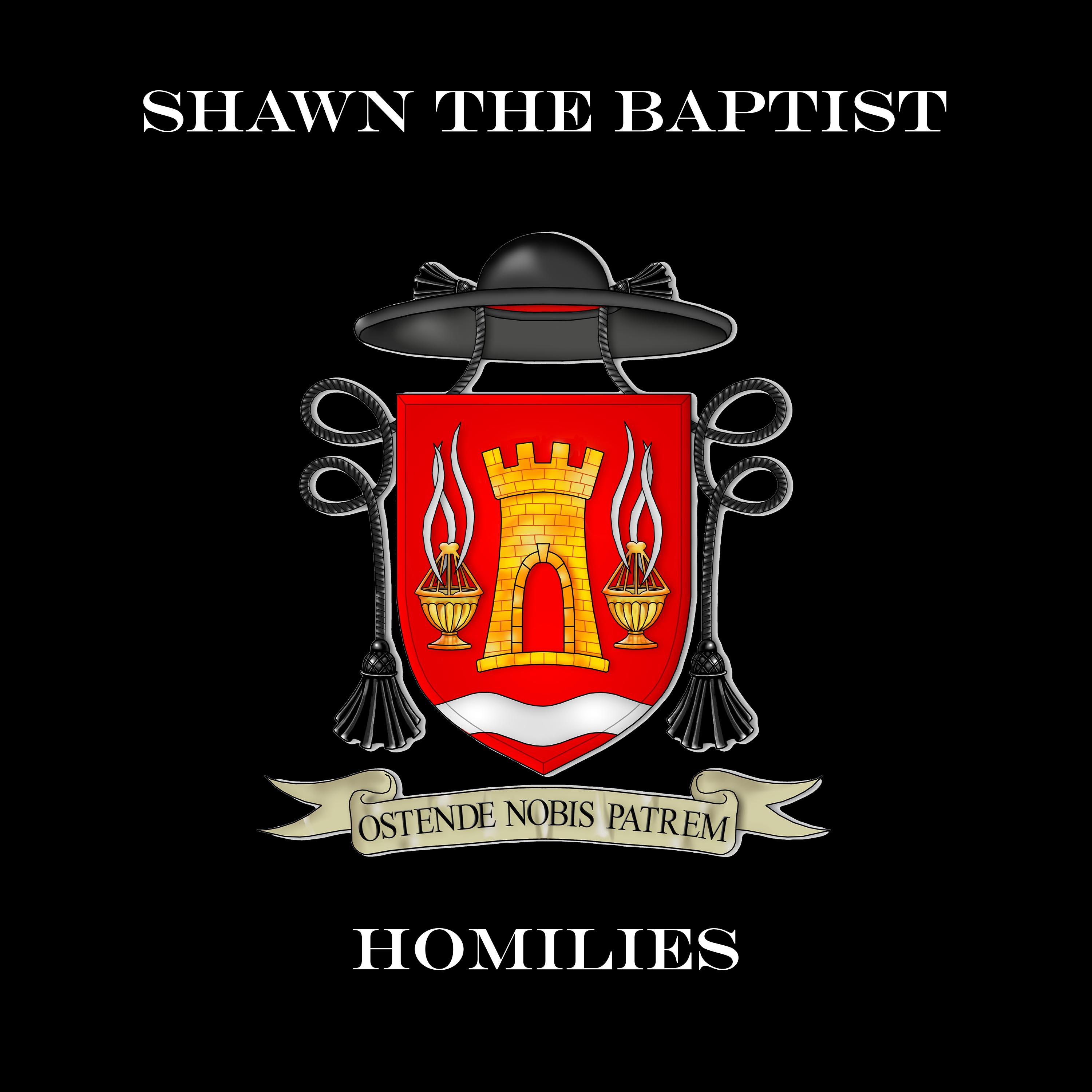 Shawn The Baptist Homilies